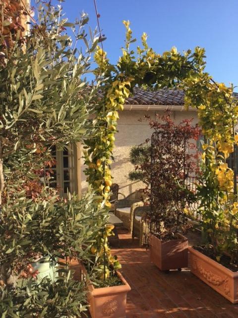 Bed and Breakfast Domaine Le Bois Des Dames Chantemerle-les-Grignan Экстерьер фото