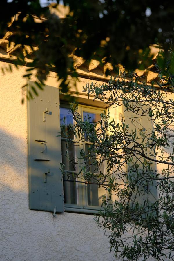 Bed and Breakfast Domaine Le Bois Des Dames Chantemerle-les-Grignan Экстерьер фото